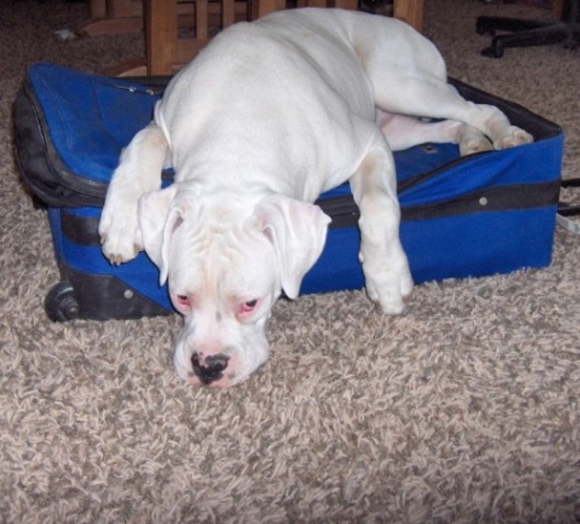 You are not leaving without me!