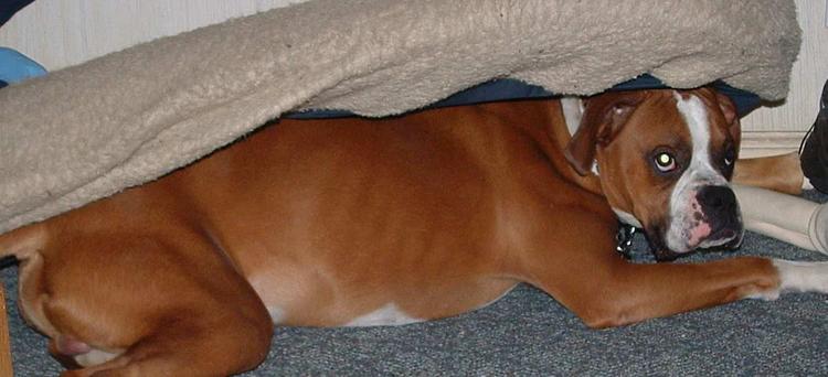 You Cannot See Me