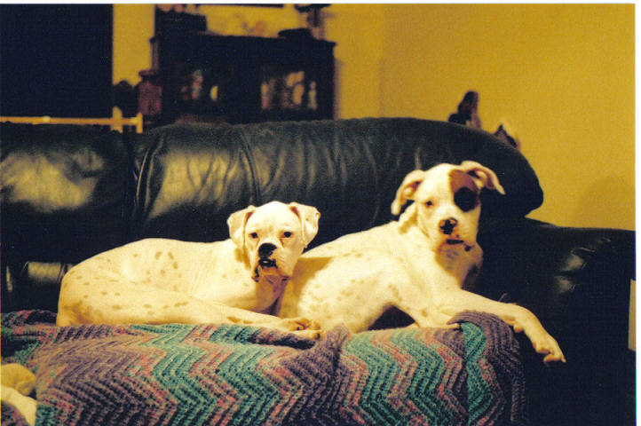 You don't expect us to move do you?