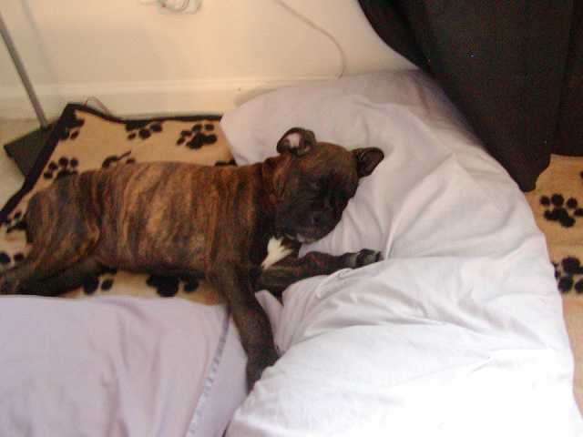 You dont see me waking you up to take your picture.