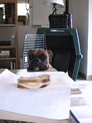 You gonna eat that?!!!!!!!!!!!!!!!!!!!!!!!!