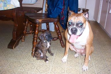 You Got To Be Kidding Mom!