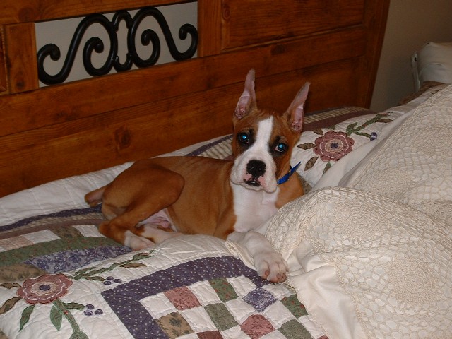 You just think this is your bed!