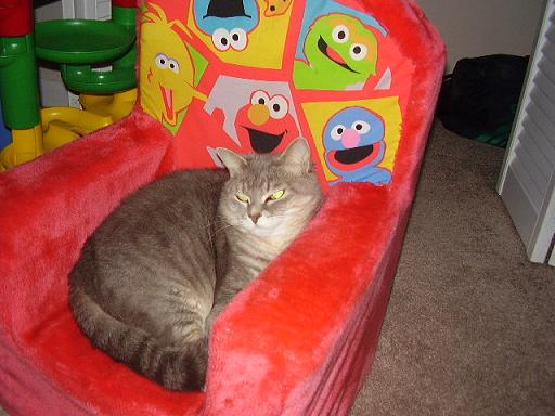 you just thought it was your chair