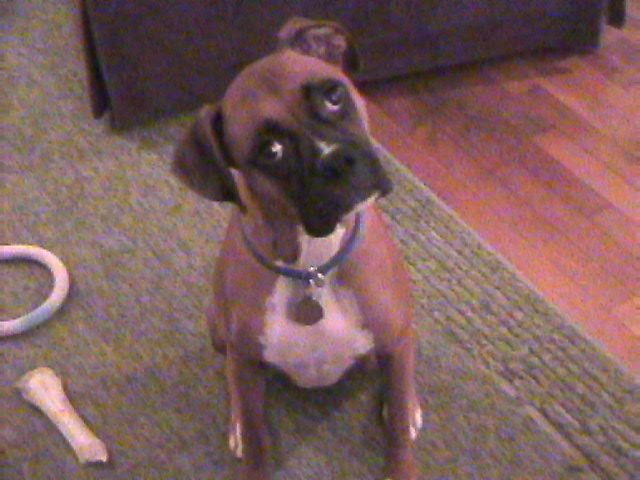 you lookin at me?