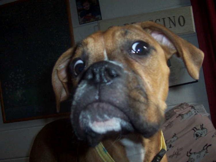 You lookin' at me???