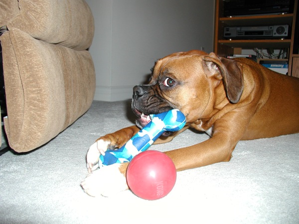 You Lookin? At My Ball?