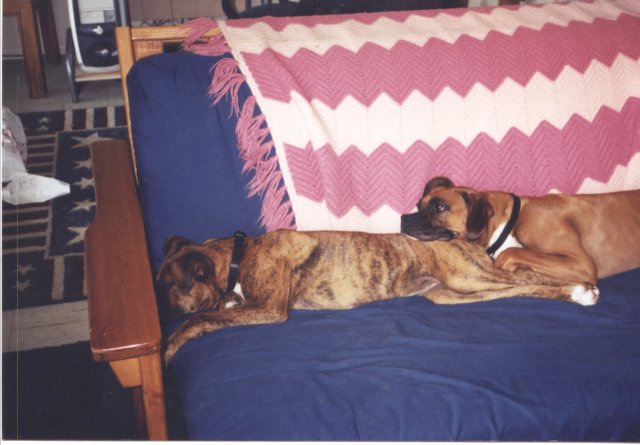 You make a nice pillow
