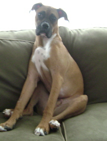 You sit like this, why can't I?