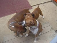You snink. No you stink, No uh you do.....