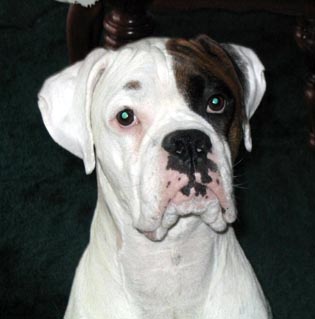 You talkin to me?