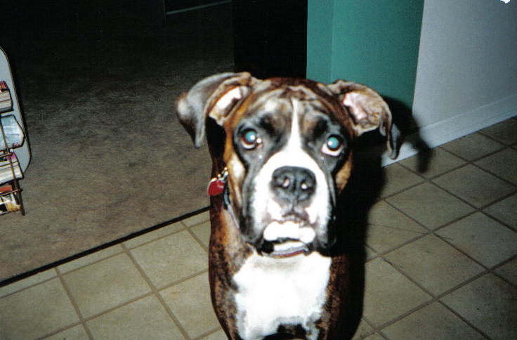 You talkin to me?