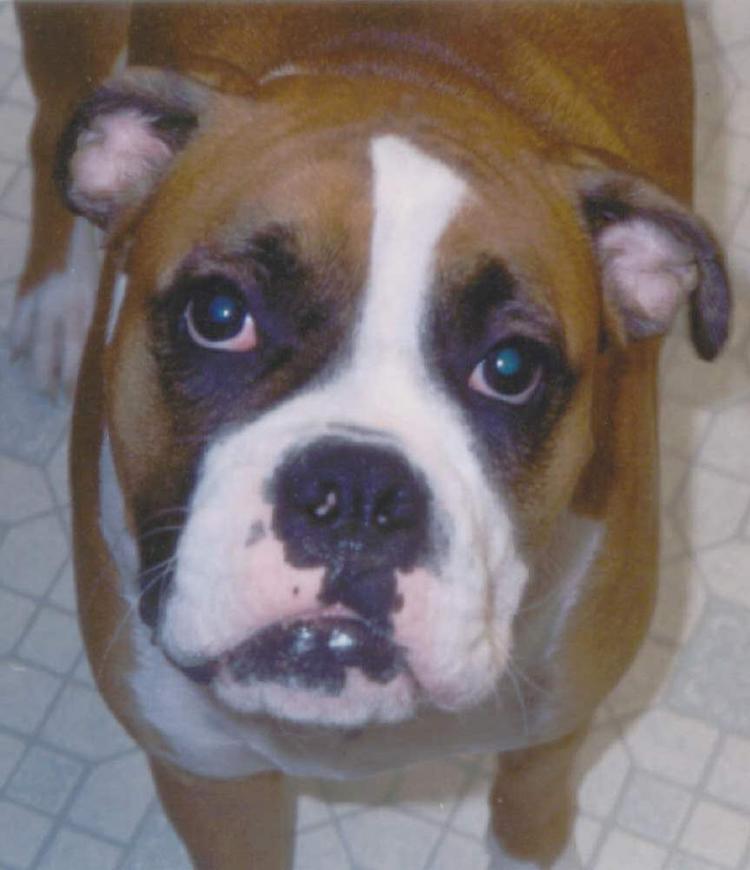 You talkin' to me???