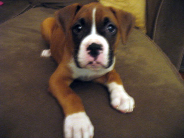 You talkin to me????