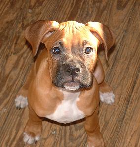 You Talkin To Me??