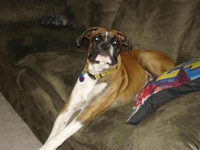 You talking to me?