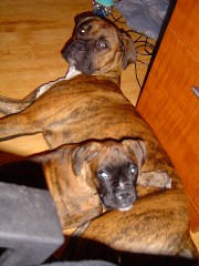 You talking to Us?