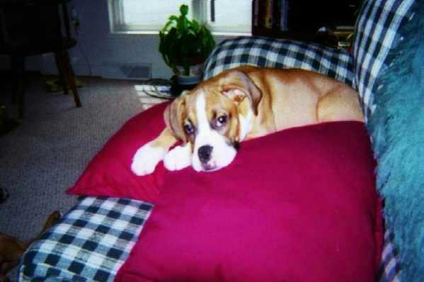 You think you're gonna sit on THIS couch ????