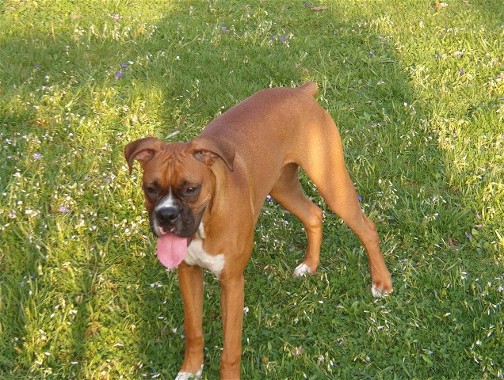 You wanna play with me???