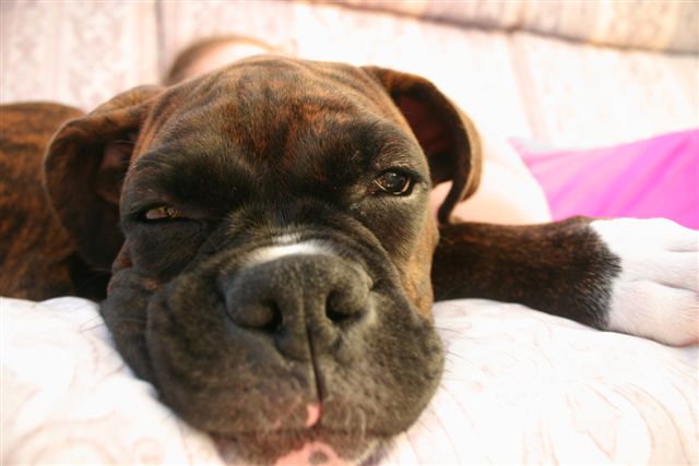 "You woke me to tell me that??"