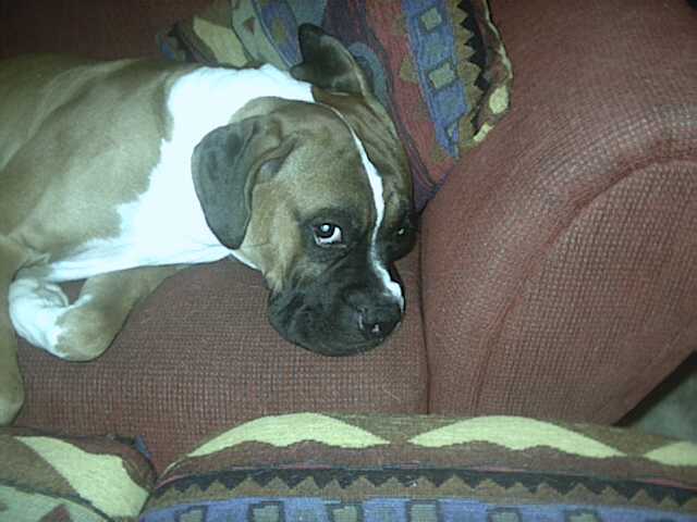 You woke me up!