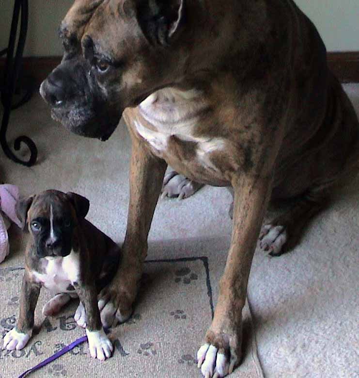 You'll protect me, right?