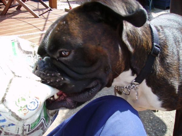 Your not having the ball