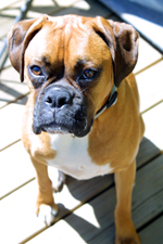 Your not leaving are you???