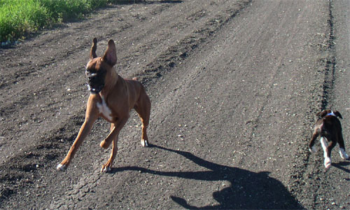 Your running the wrong way!