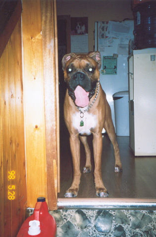 you're home!!!