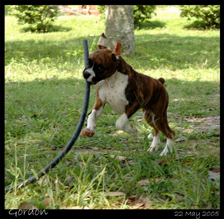 Yoz... I got it !!
