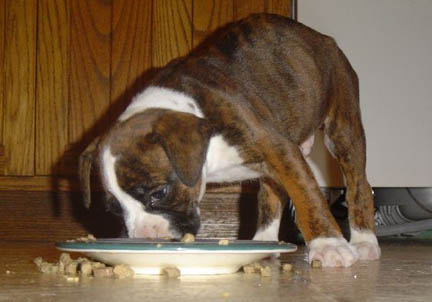 Yum Yum Yum!!!