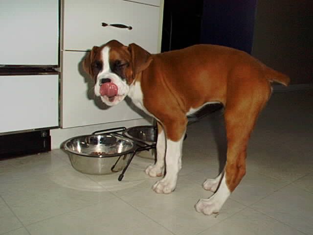 Yum, yum!