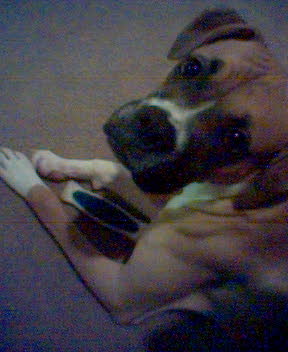 Yummy bone.