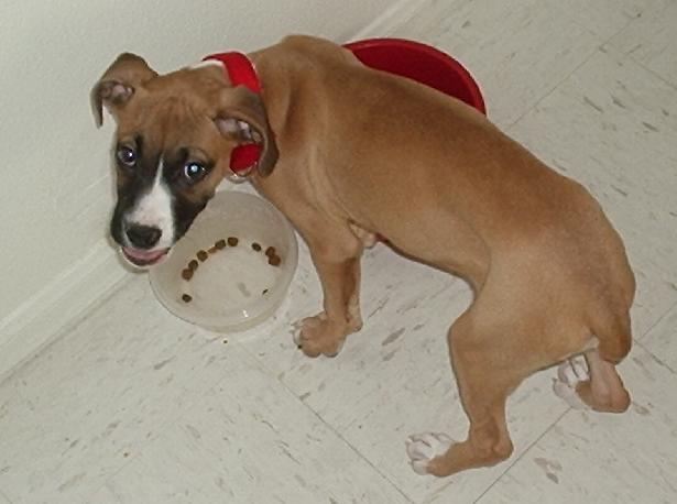 Yummy!