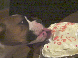 YUMMY!