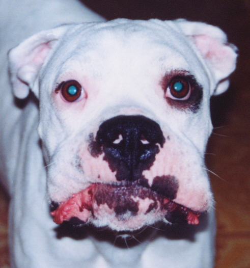 Zander with his lips stuck