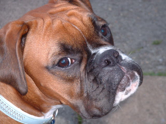 Zeb 7th Sept 06