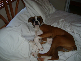 Zeb all cosy!