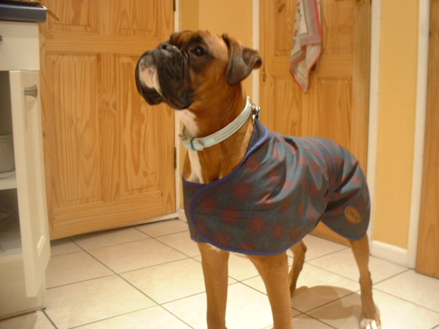 Zeb in his coat