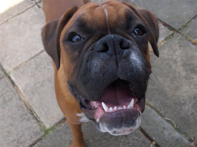 Zeb saying hi