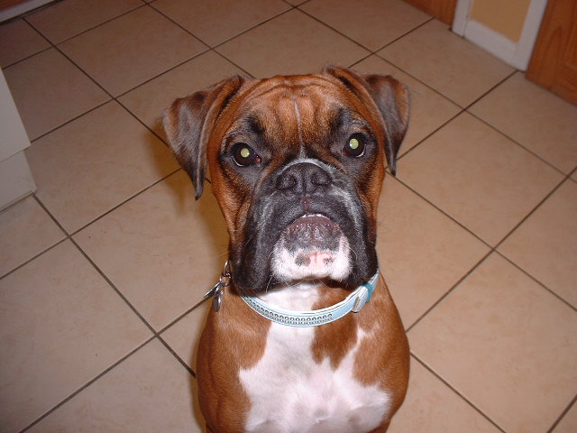 Zeb's 1st birthday