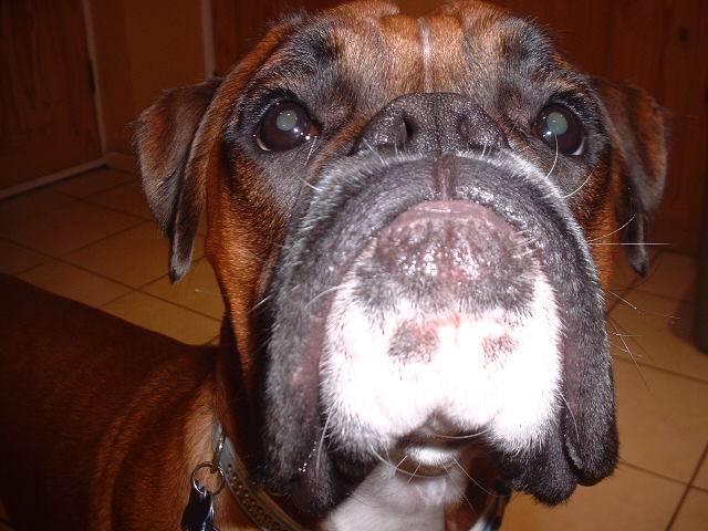 Zeb's close up