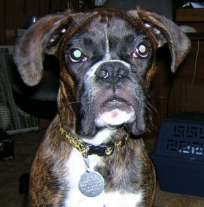 Zeke