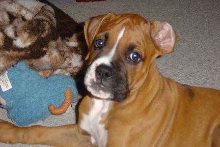 Zeke's first day home