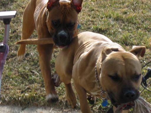 Zero and Herman