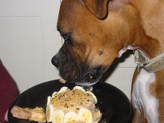 Zero Profile Cake