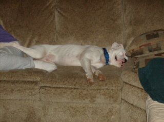 Zeus 11 Months (2)