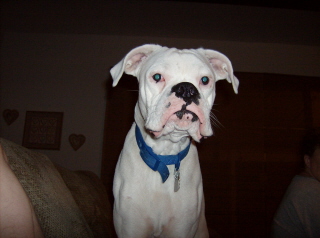 Zeus 11 Months (3)