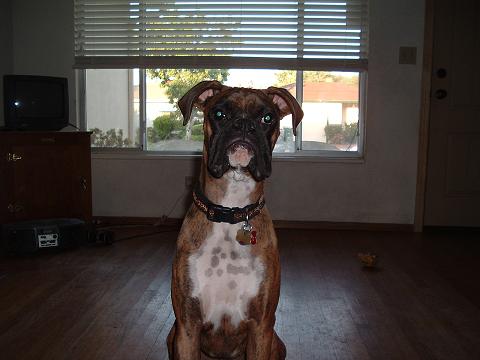 Zeus - 11 Months